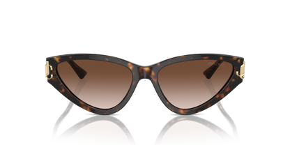 JIMMY CHOO JC5019 500213 55