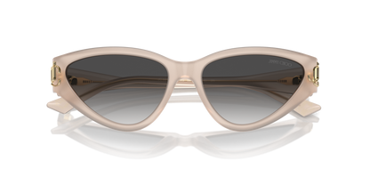 JIMMY CHOO JC5019 50258G 55