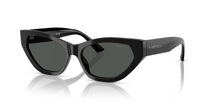 JIMMY CHOO JC5022B 500087 55