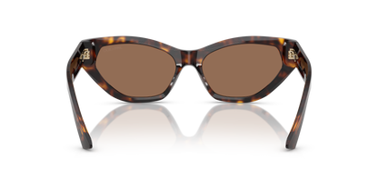 JIMMY CHOO JC5022B 500273 55