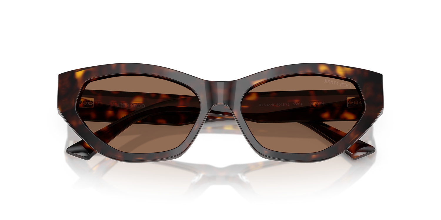 JIMMY CHOO JC5022B 500273 55