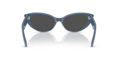 JIMMY CHOO JC5023H 502087 55