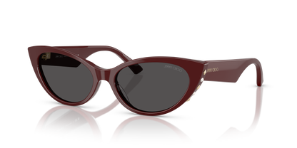 JIMMY CHOO JC5023H 505787 55