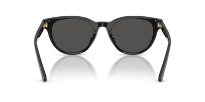 JIMMY CHOO JC5043D 500087 53