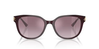 JIMMY CHOO JC5057D 50866X 55