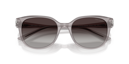 JIMMY CHOO JC5057D 50968G 55