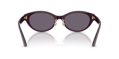 JIMMY CHOO JC5064D 50751A 55