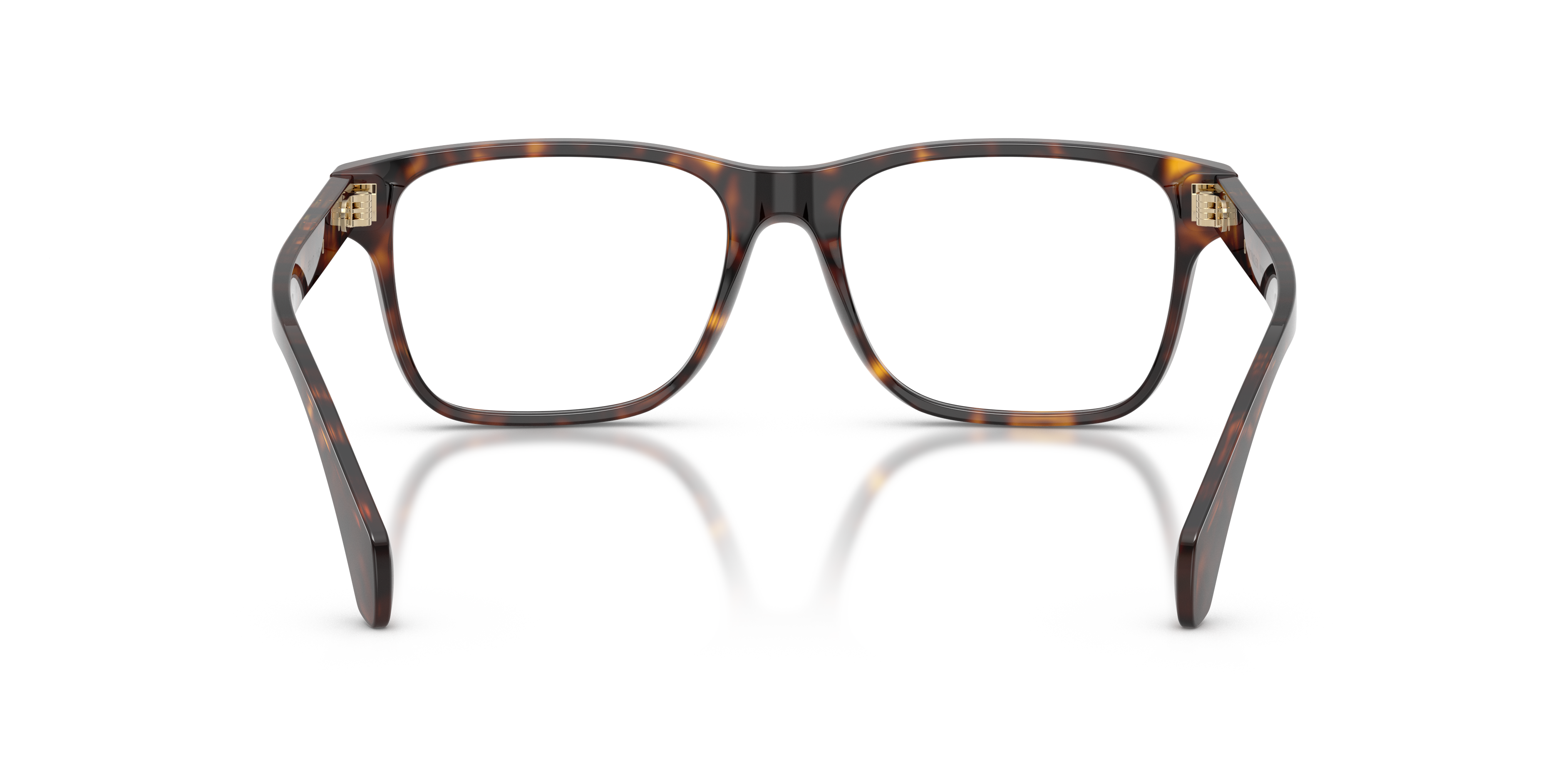 MONCLER ME2016 3002 55