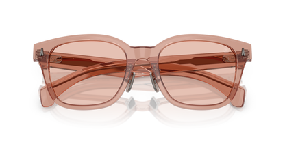 MONCLER ME6002D METROPE 300884 54