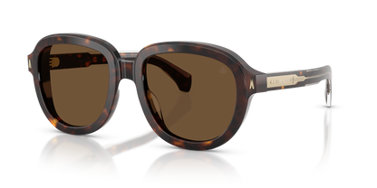 MONCLER ME6007U CIRSEE 300273 54