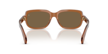 MONCLER ME6008 SUNTRAP 3017F9 55