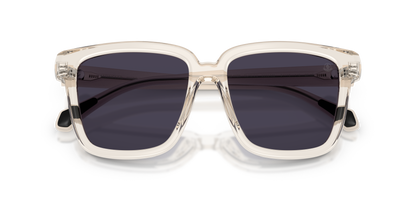 MONCLER ME6026 CLASICO 3003M3 54