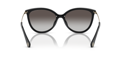 MICHAEL KORS MK2184U DUPONT 30058G 58