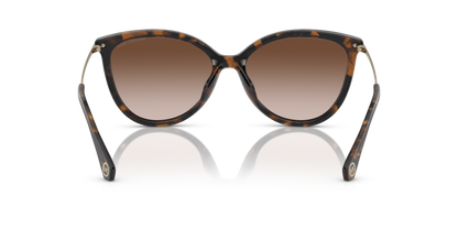 MICHAEL KORS MK2184U DUPONT 300613 58