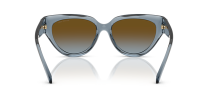 MICHAEL KORS MK2241U BOCA RATON 401413 55