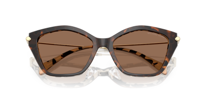 MICHAEL KORS MK2246U CATSKILLS 395173 52