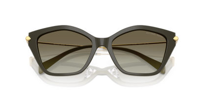 MICHAEL KORS MK2246U CATSKILLS 40193M 52