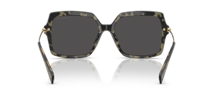 MICHAEL KORS MK2247U QUOGUE 395087 55