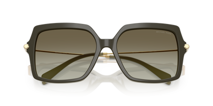 MICHAEL KORS MK2247U QUOGUE 40193M 55