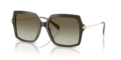 MICHAEL KORS MK2247U QUOGUE 40193M 55