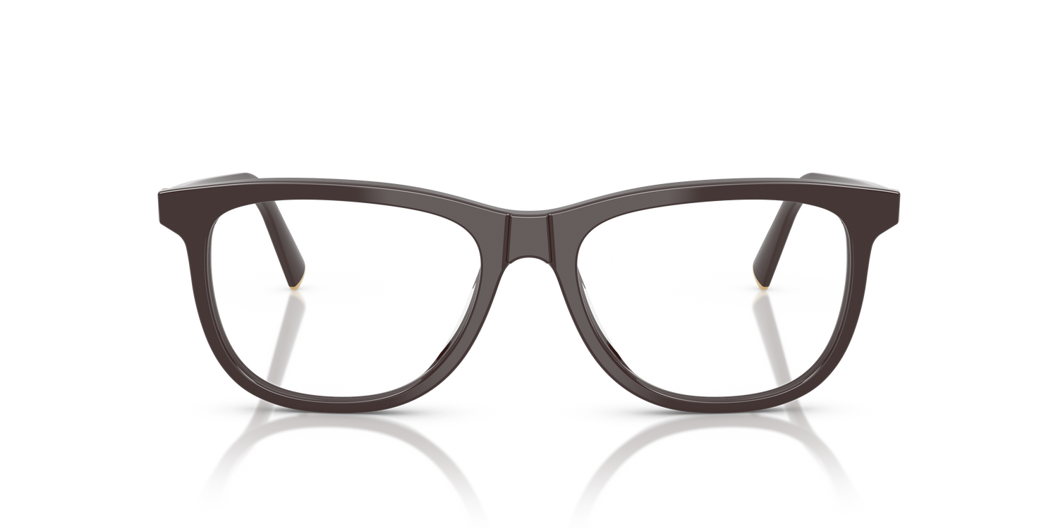 MIU MIU MU 01WV 22C1O1 54