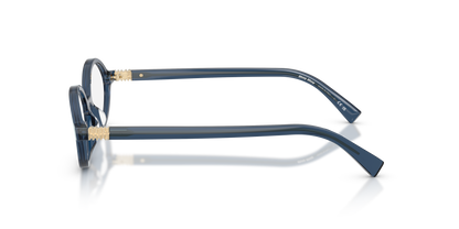 MIU MIU MU 01XV 08Q1O1 50