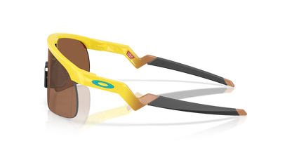 OAKLEY OJ9010 RESISTOR 901028 23