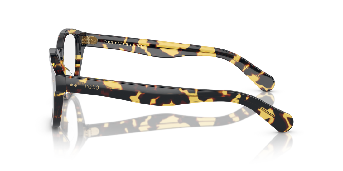 POLO PH2261U 6083 53