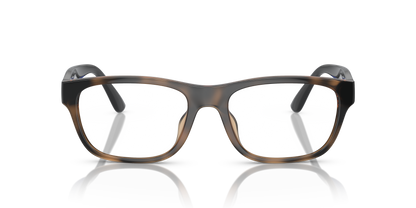 POLO PH2263U 5974 55