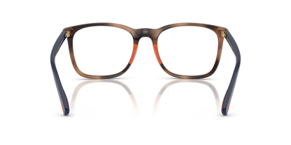 POLO PH2281U 6070 52