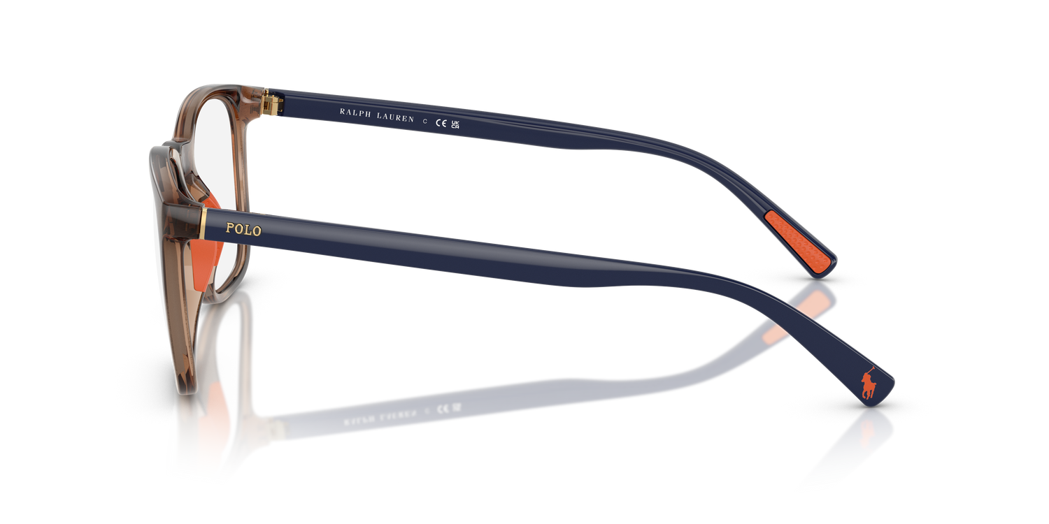 POLO PH2281U 6070 52