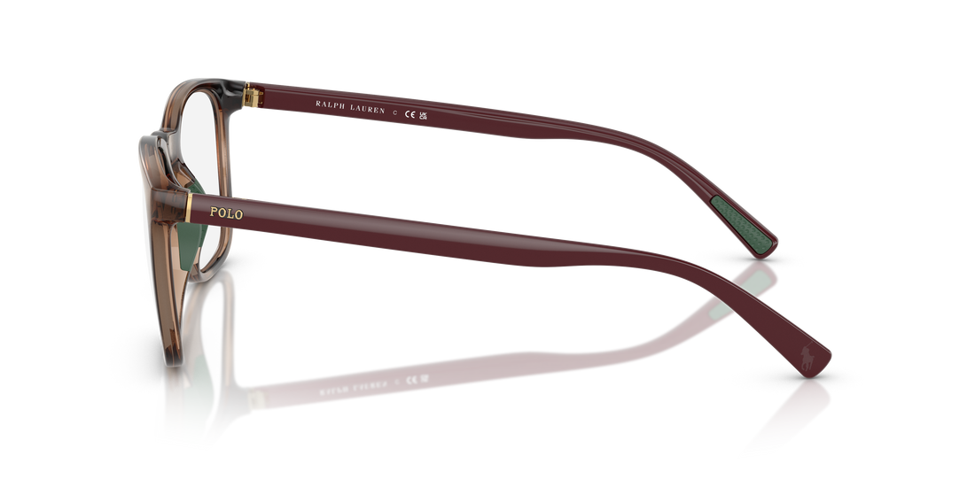 POLO PH2281U 6208 54