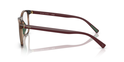 POLO PH2281U 6208 52