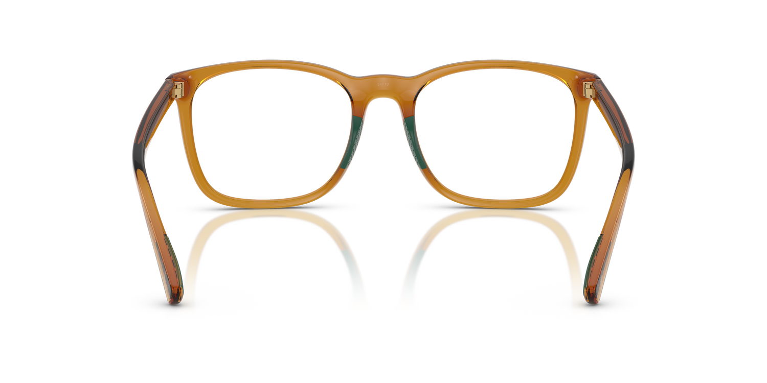 POLO PH2281U 6209 52