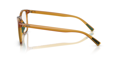 POLO PH2281U 6209 54