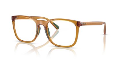 POLO PH2281U 6209 54