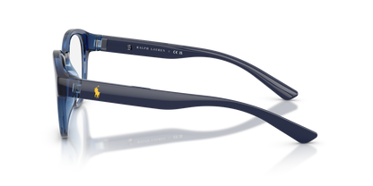 POLO PH2293U 5717 50