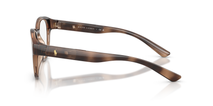 POLO PH2293U 6070 52