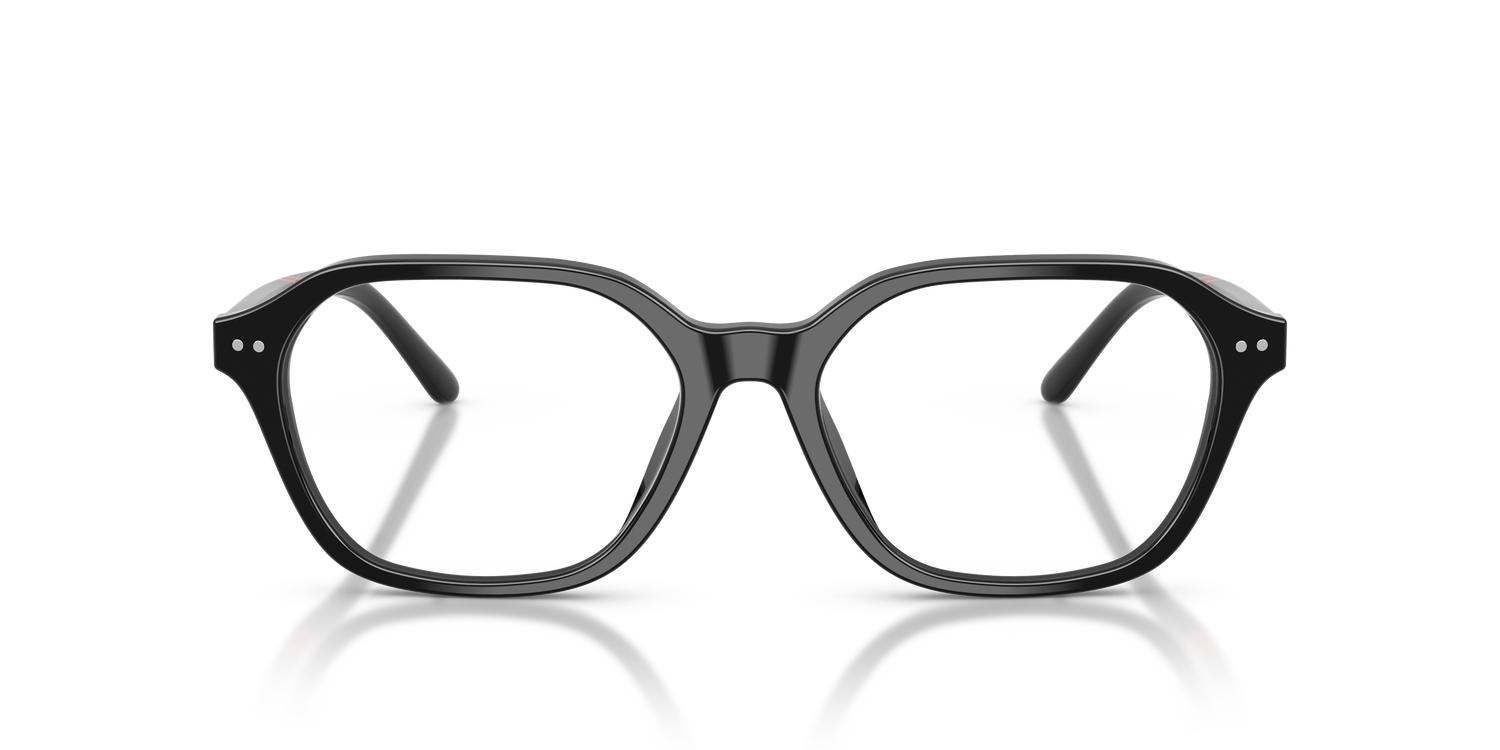 POLO PH2295U 5001 53