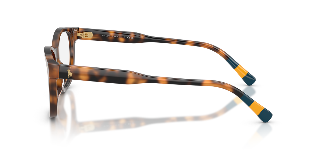 Gafas graduadas polo ph2303u 5003 havana square masculino talla 50mm - Vista de detalle