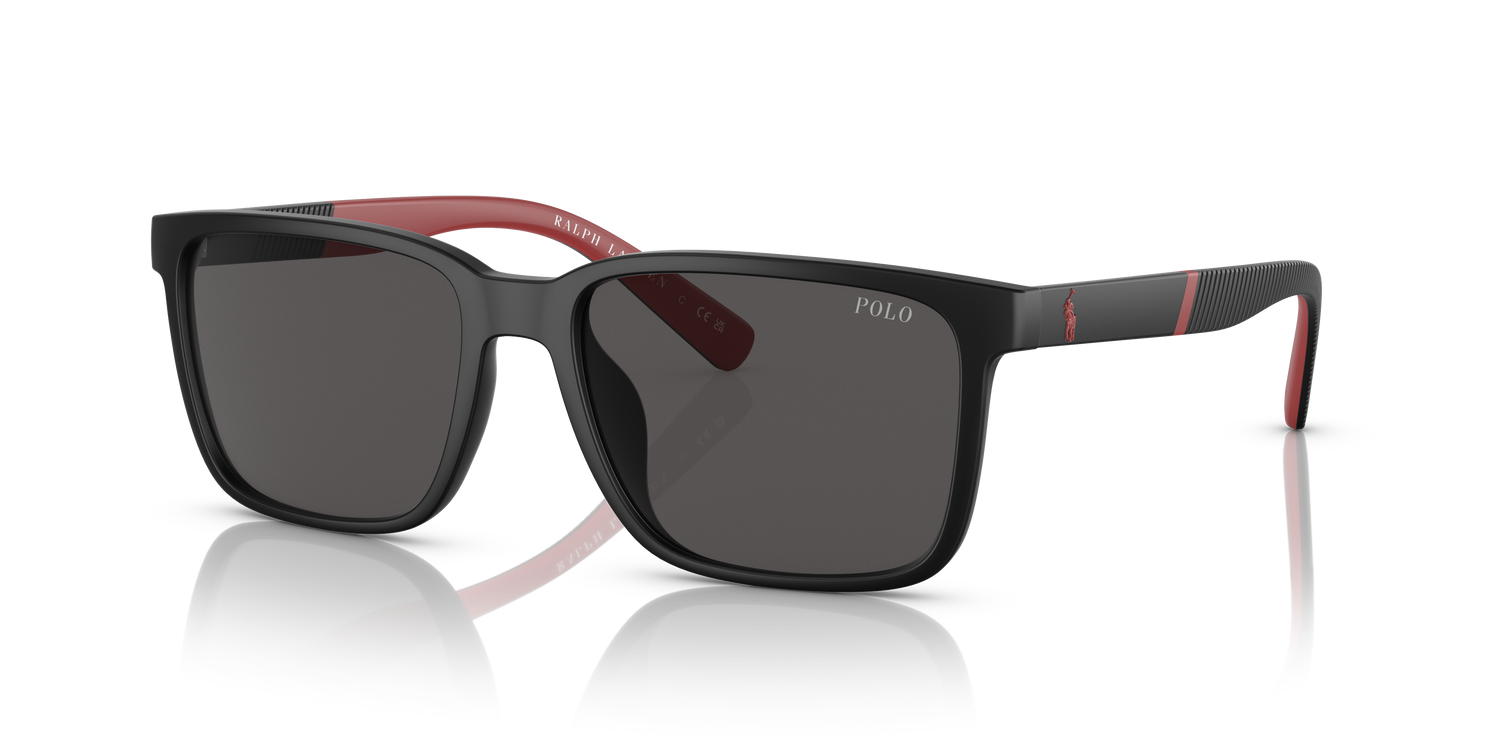 POLO PH4189U 537587 55