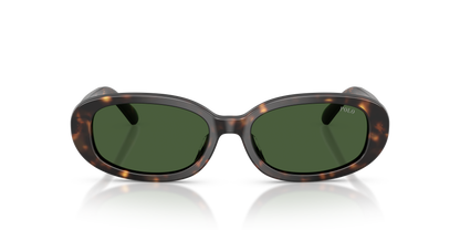 POLO PH4198U 500371 53