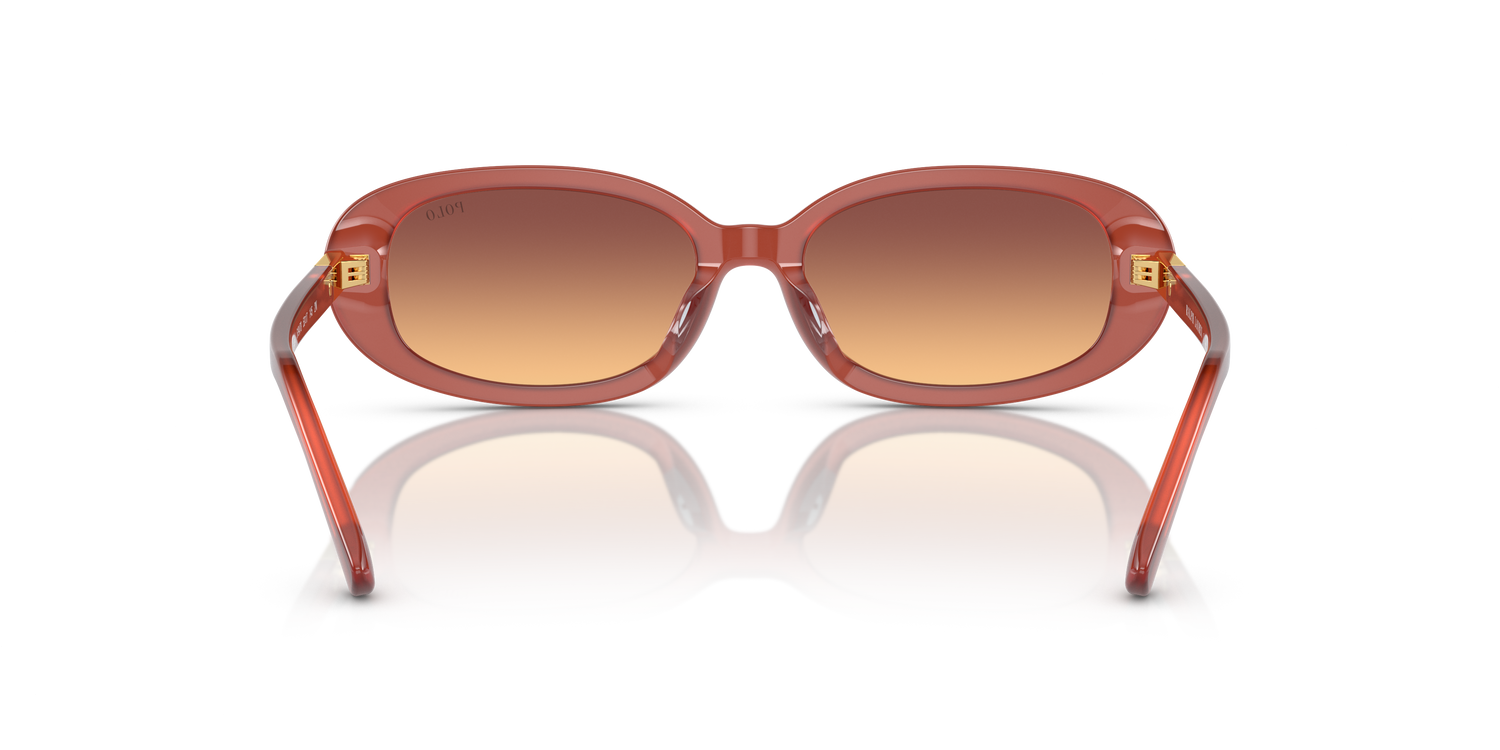 POLO PH4198U 619478 53