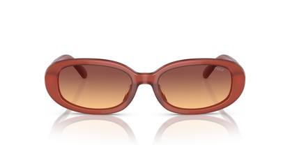 POLO PH4198U 619478 53