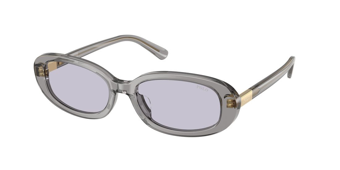 Sunglasses polo ph4198u 63181a gris oval femenino size 53mm - Main view
