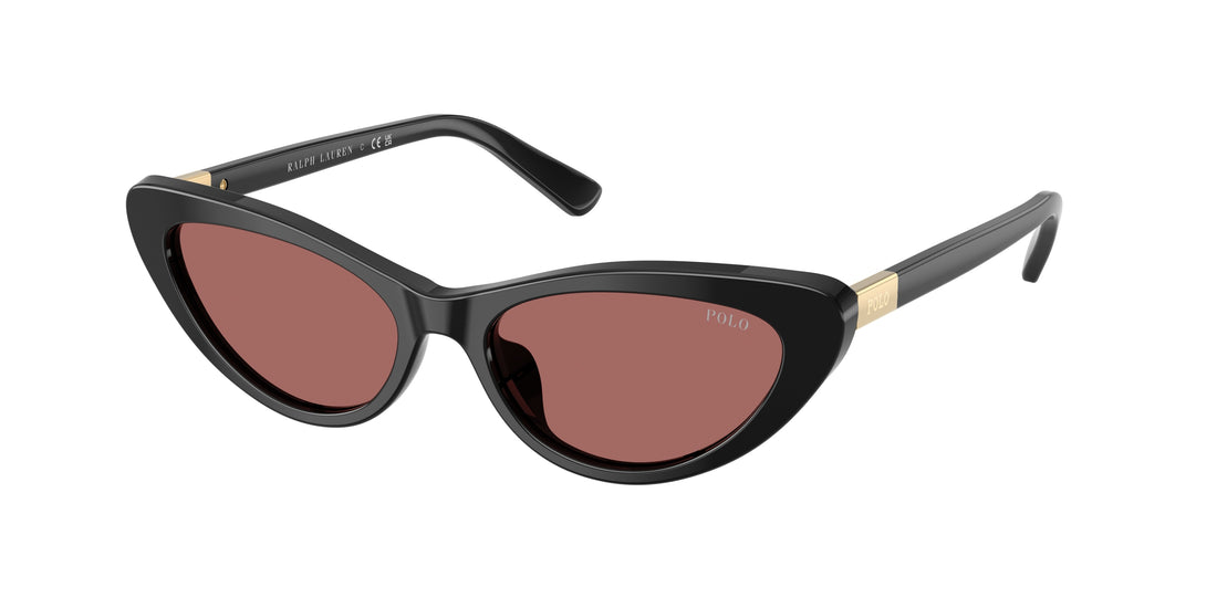 Sunglasses polo ph4199u 500169 negro cat eye femenino size 54mm - Main view