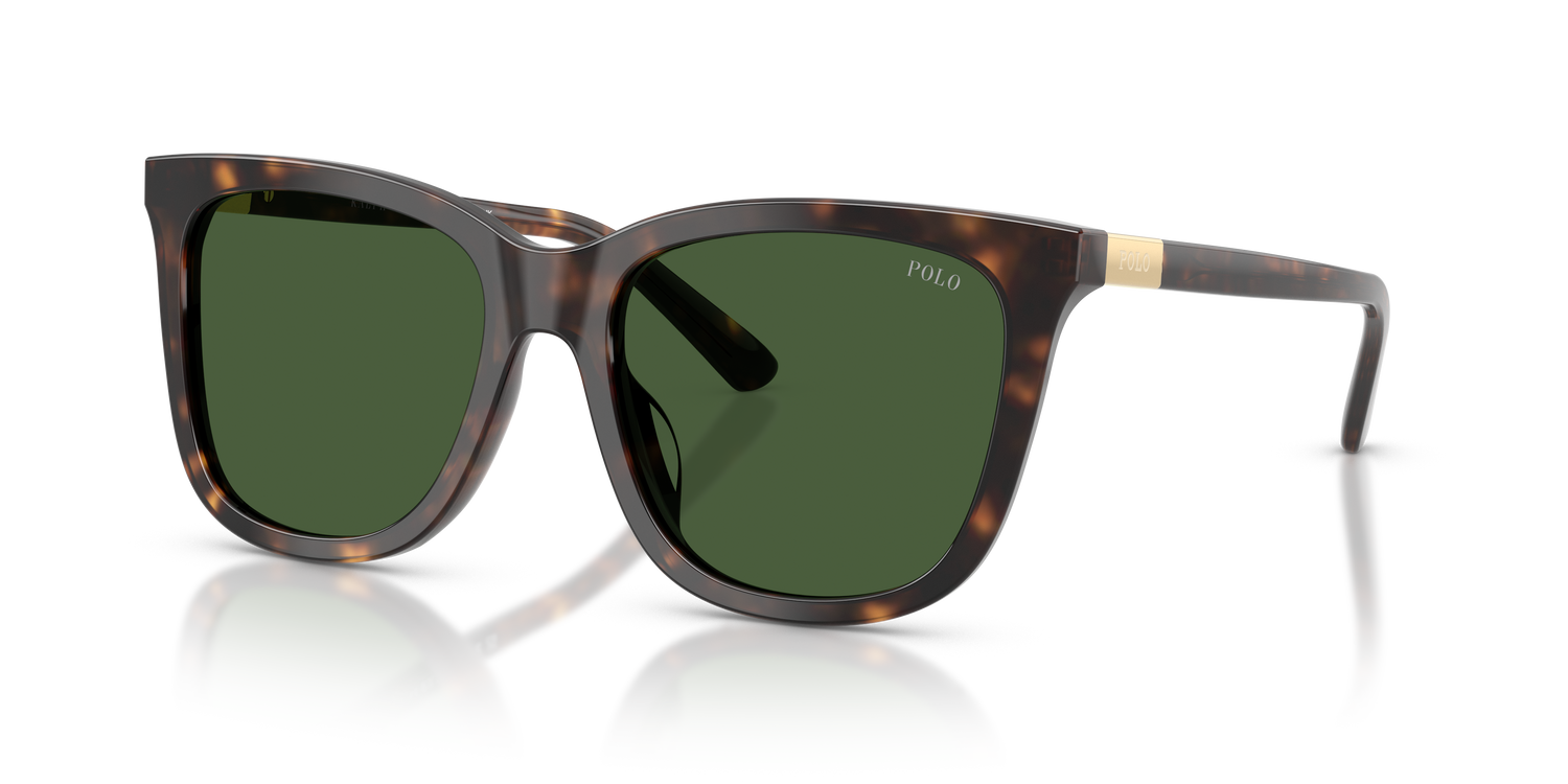 POLO PH4201U 500371 55