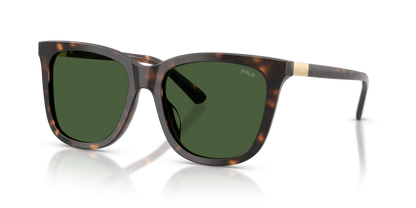 POLO PH4201U 500371 55