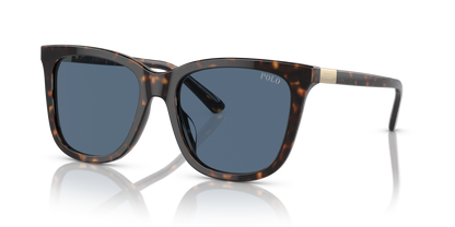 POLO PH4201U 500380 55