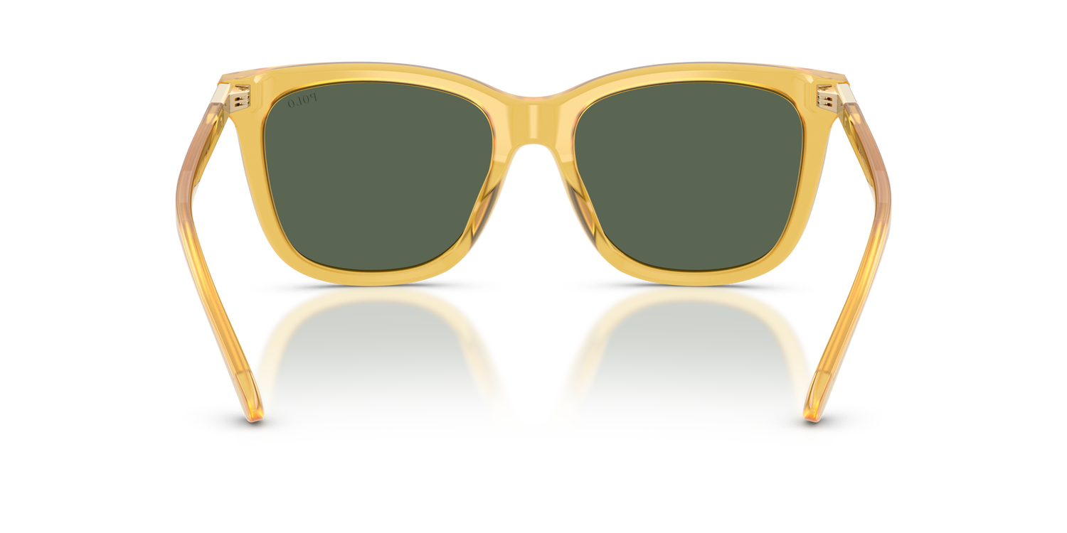 POLO PH4201U 500571 55